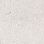 pigment alb de titan